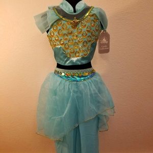 Disney Jasmine Costume
